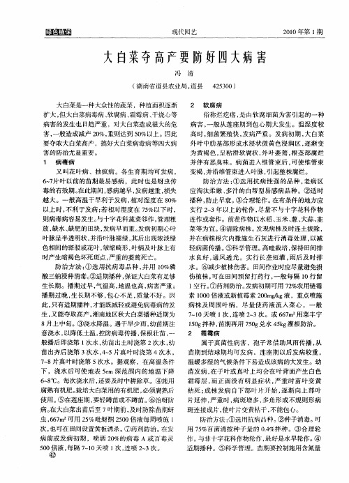 大白菜夺高产要防好四大病害
