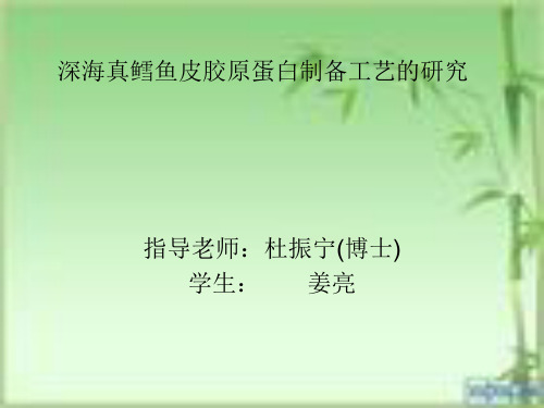 深海真鳕鱼皮胶原蛋白