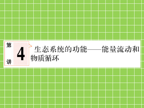 2013届新课标高考生物一轮复习课件稳态与环境第二单元生物与环境第4讲生态系统的功能--能量流动和物质循环