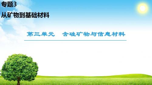 2019苏教版高中化学必修一课件：专题3 第3单元 含硅矿物与信息材料