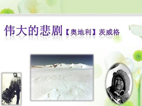 《伟大的悲剧》课件2-优质公开课-河北大学九下精品