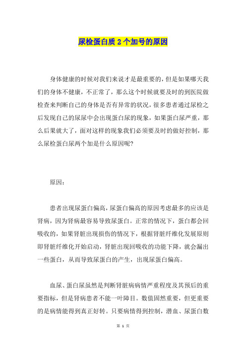 尿检蛋白质2个加号的原因