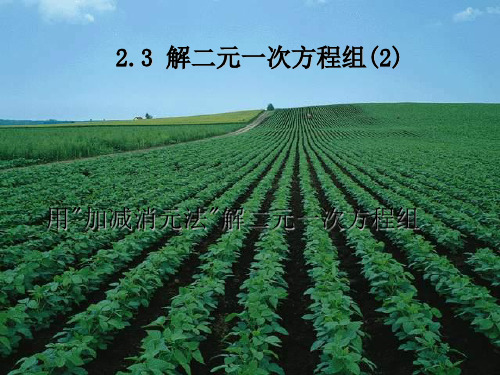 【最新】浙教版七年级数学下册第二章《解二元一次方程组(2)》精品课件.ppt