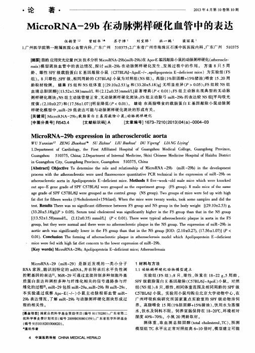 MicroRNA-29b在动脉粥样硬化血管中的表达