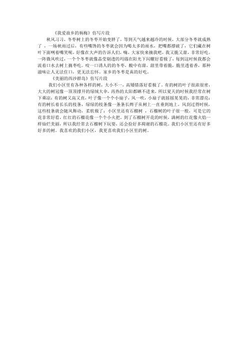 我爱故乡的杨梅