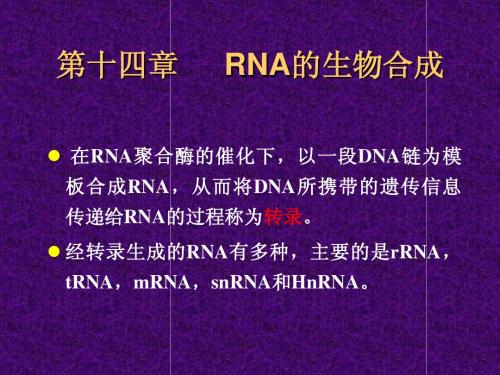 生化 王镜岩 第十四章 RNA合成