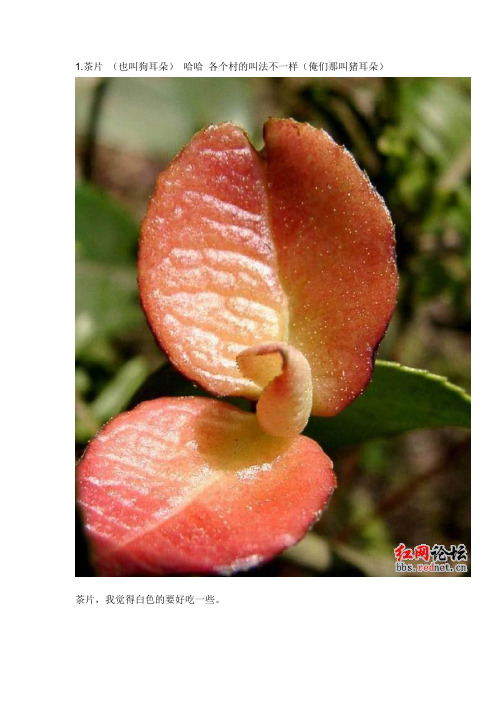 江西特产正宗野生水果