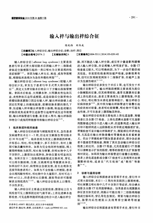 输入袢与输出袢综合征