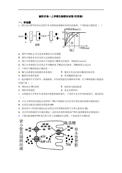 襄阳市高一上学期生物期末试卷(有答案)