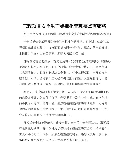 工程项目安全生产标准化管理要点有哪些
