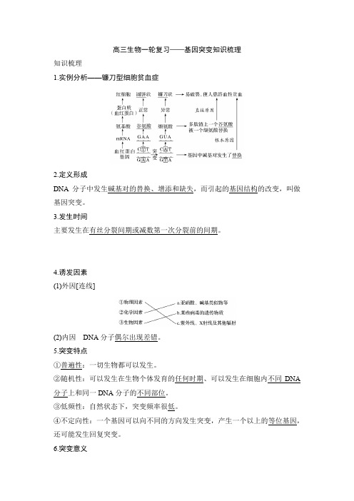 高三生物一轮复习——基因突变知识梳理