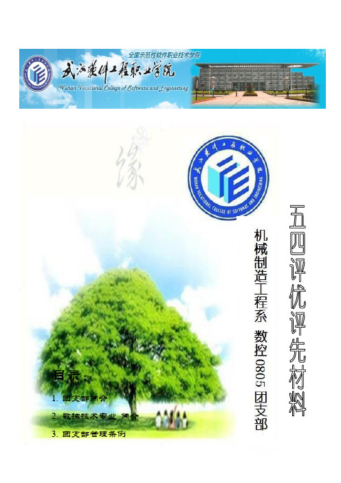 优秀团支部五四评优材料