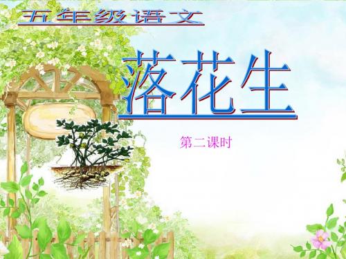 落花生(完美版)ppt