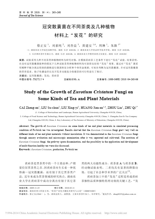 冠突散囊菌在不同茶类及几种植物材料上_发花_的研究_蔡正安