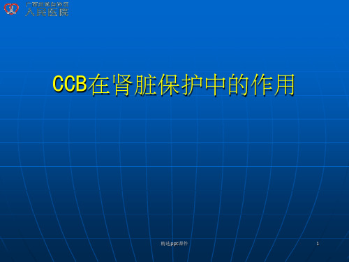 CCB在肾脏保护中的作用