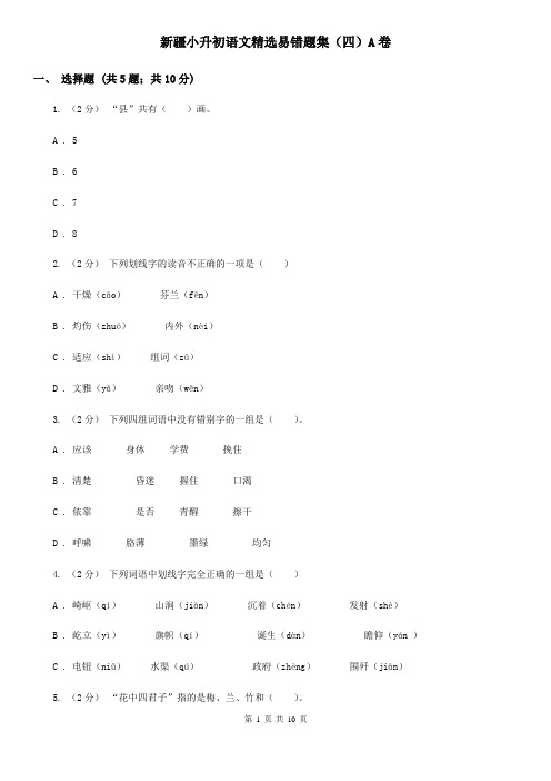 新疆小升初语文精选易错题集(四)A卷