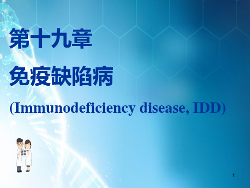 C19免疫缺陷ppt课件