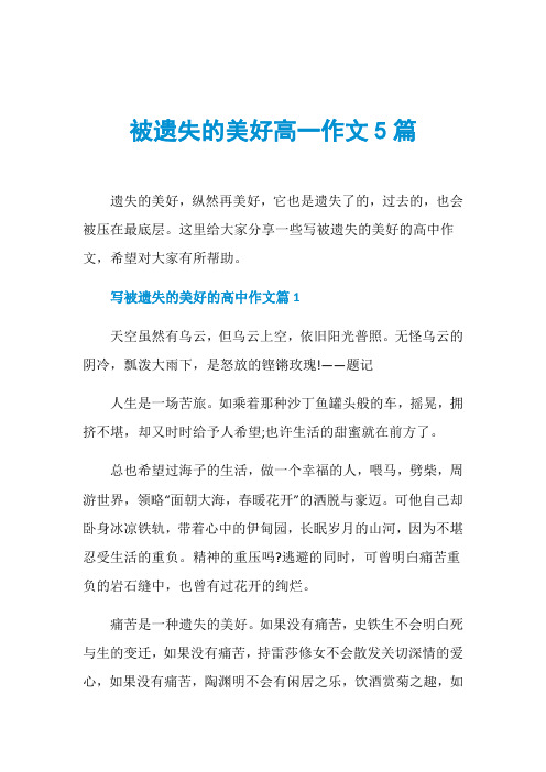 被遗失的美好高一作文5篇