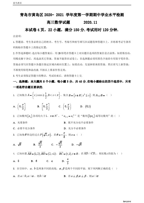 山东省青岛市黄岛区2021届高三上学期期中考试数学试题 含答案