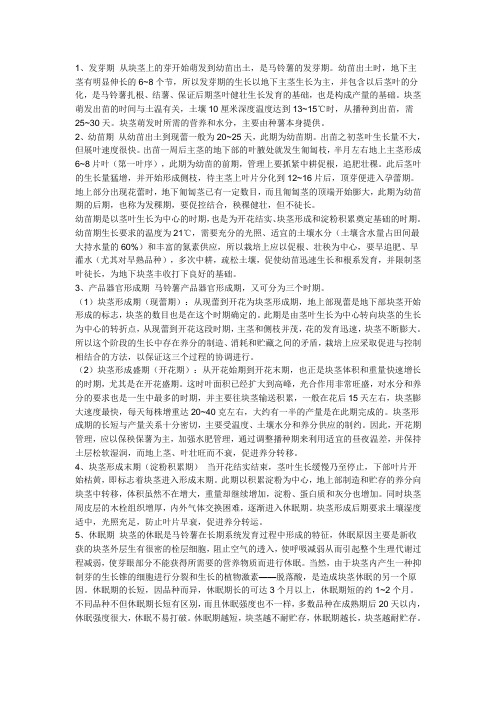 马铃薯物候特性