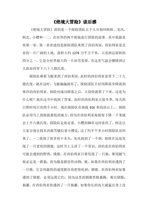 《绝境大冒险》读后感