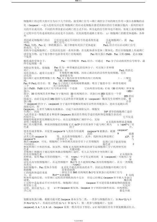 细胞凋亡过程