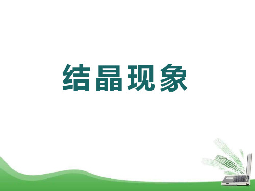 粤教版九年级化学下册 《结晶现象》溶液PPT课件 (2)