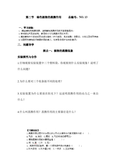 七年级生物绿色植物的蒸腾作用