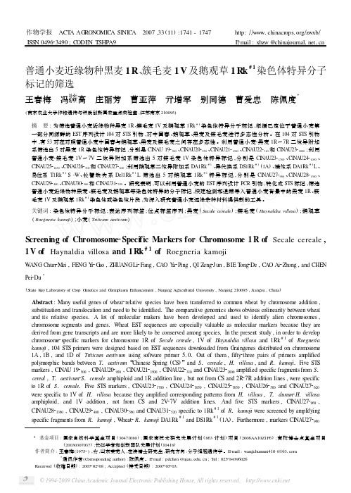 普通小麦近缘物种黑麦R、簇毛麦V及鹅观草Rk染色体特异分子标记的筛选（p..