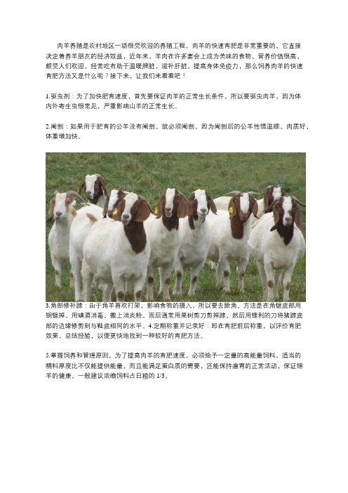 养殖肉羊的快速育肥方法