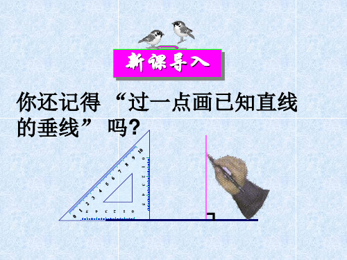 《三角形的高、中线与角平分线》课件优秀(完整版)1