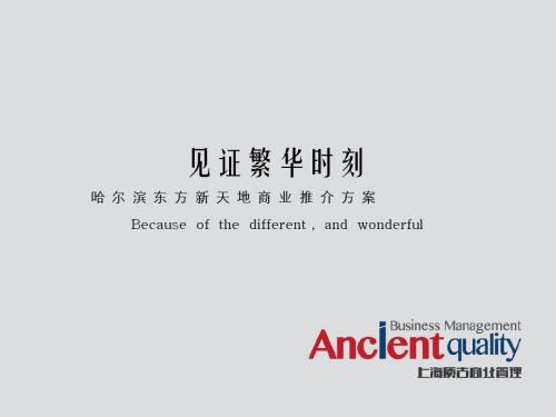 2013哈尔滨东方新天地商业推介方案(74页)