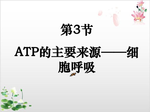 人教版高中生物必修一ATP的主要来源—细胞呼吸-ppt精品课件(1)
