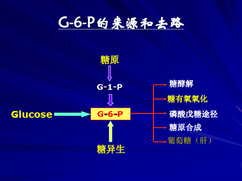 生化复习讨论题题解