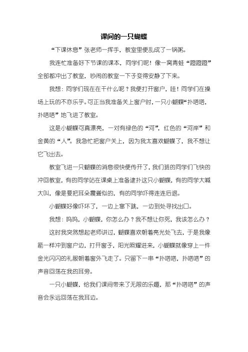 动物作文：课间的一只蝴蝶作文