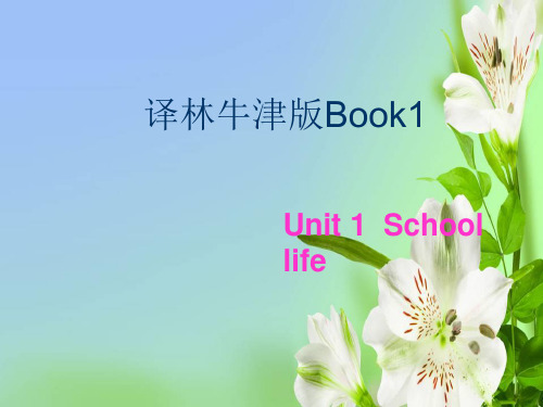 牛津译林版高中英语必修1unit 1School Life课件24张pptTask1(1)课件ppt