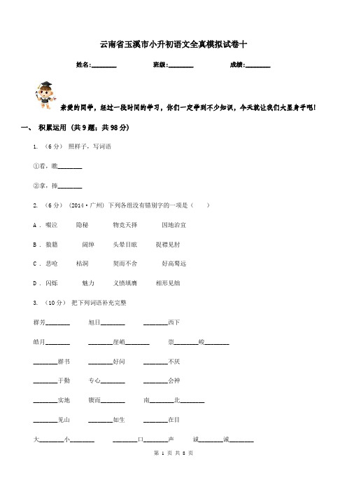 云南省玉溪市小升初语文全真模拟试卷十