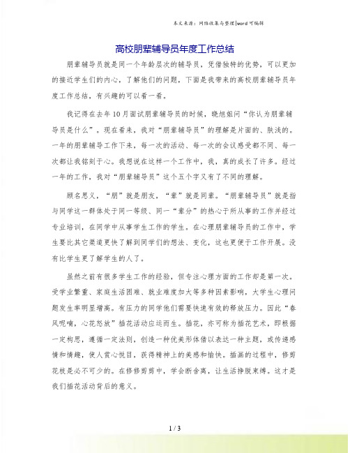 高校朋辈辅导员年度工作总结.doc
