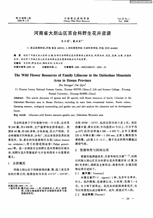 河南省大别山区百合科野生花卉资源