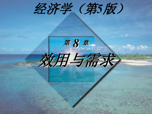 08效用与需求精品PPT课件