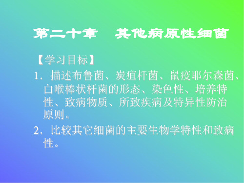 病原生物学和免疫学第二十章  其他致病菌