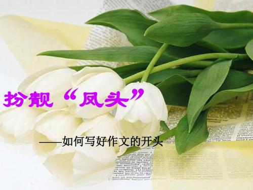 扮靓“凤头”——如何写好作文的开头 PPT课件