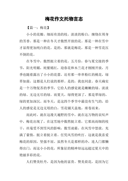 梅花作文托物言志