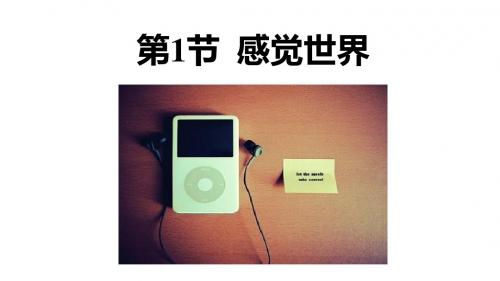 感觉世界