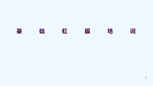 公司虹膜基础培训ppt课件