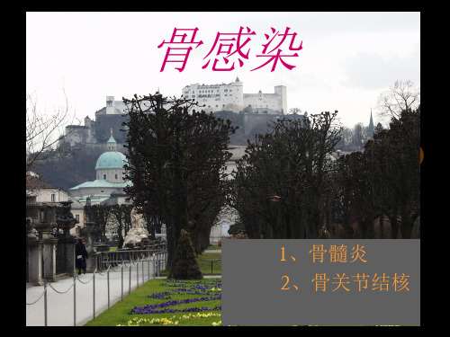 骨感染