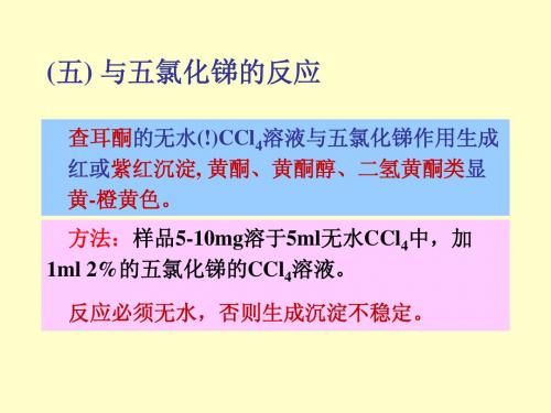 黄酮类