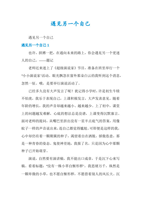 遇见另一个自己