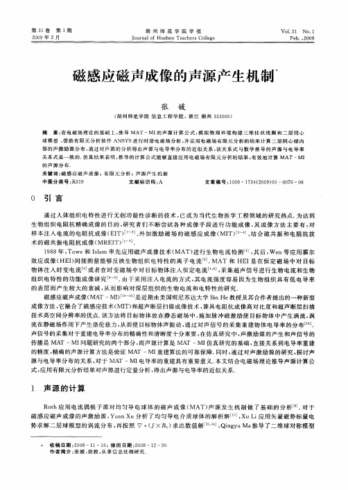 磁感应磁声成像的声源产生机制