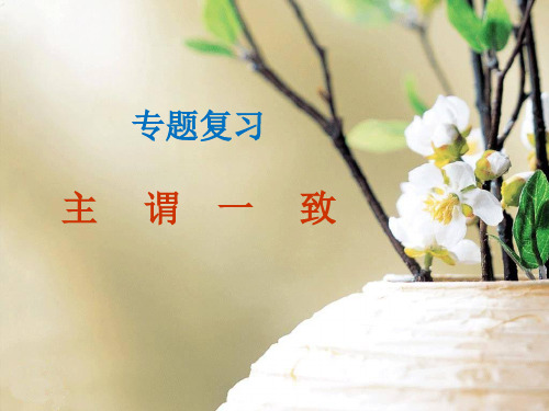 中考英语主谓一致课件